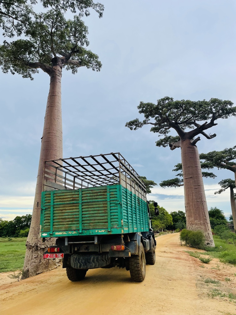 A la découverte de l’allée des Baobabs 5 jours et 4 nuits