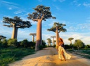 A la découverte de l’allée des Baobabs 5 jours et 4 nuits